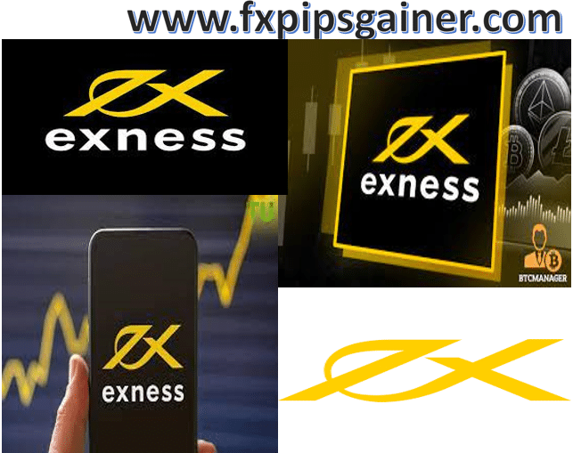 Can I Trade on an Exness Platform Discover Your Trading Options