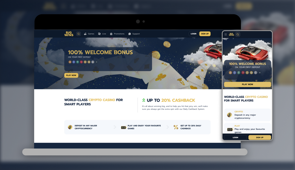 BigWins Casino Site Benefit Codes & Promotions